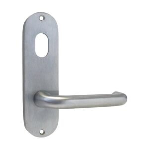 Kaba Door Handle 100 Series Plate w/ Cylinder Hole & 25 Lever 101V-25SCP