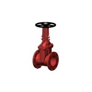 CHIEF FIRE OS&Y Resilient Seated Gate Valve - DB-CF200