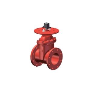 CHIEF FIRE NRS Gate Valve, 300 PSI - DB-CF300