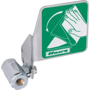 HAWS Valve Assembly with Flag, 1/2" IPS Inlet X 1/4" IPS Outlet, Chrome Plated Brass